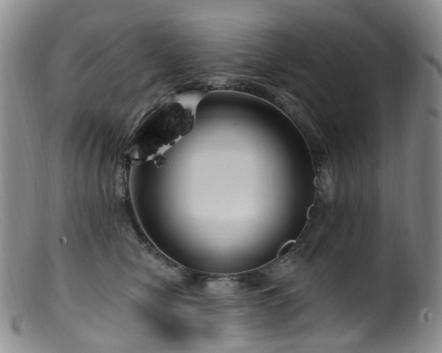 X0000099480470200805161139