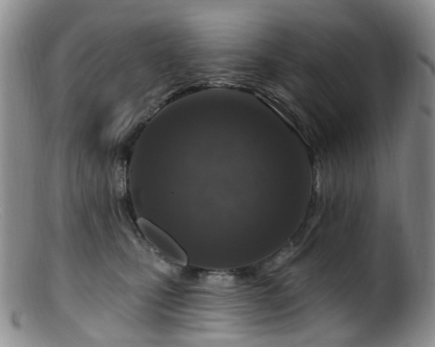 X0000099480471200805161139