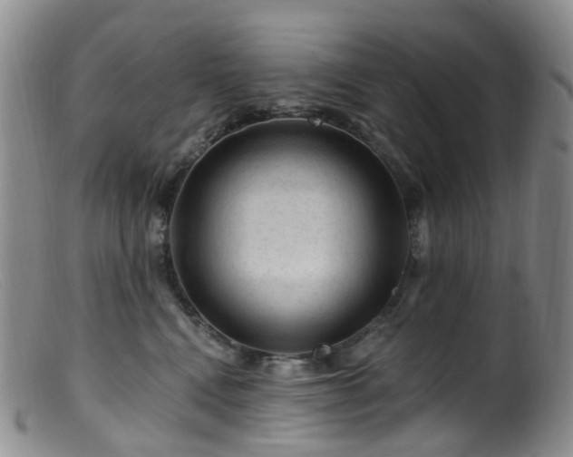 X0000099480472200805161139
