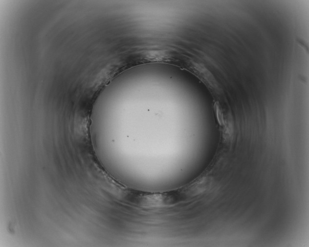 X0000099480473200805161139