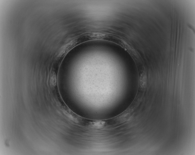 X0000099480474200805161139