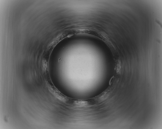X0000099480476200805161139