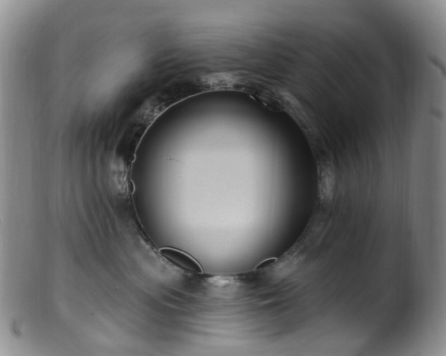 X0000099480477200805161139