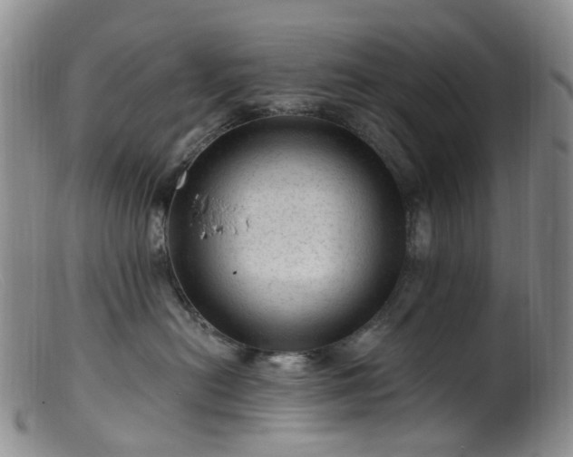 X0000099480478200805161139