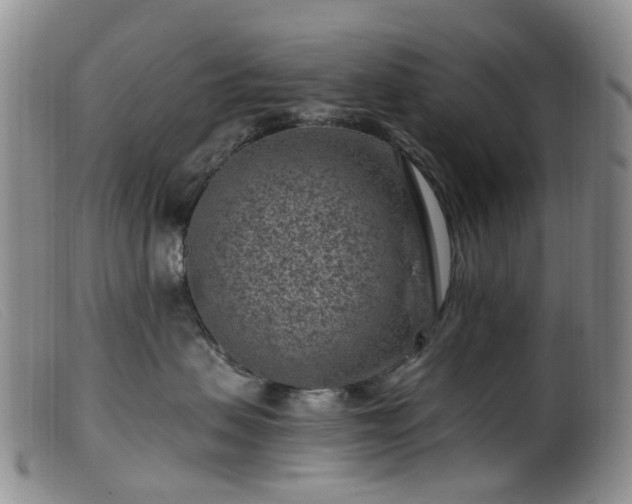 X0000099480479200805161139