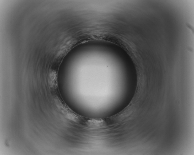 X0000099480480200805161139
