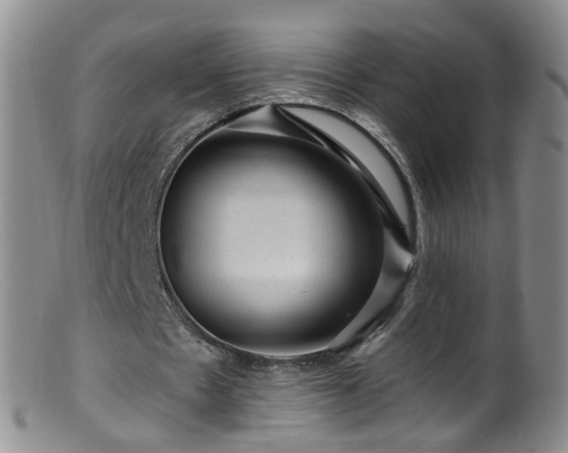 X0000099480481200805161138
