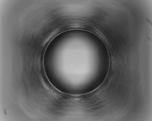 X0000099480482200805161138