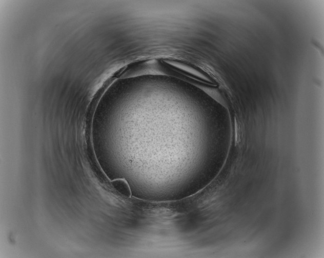X0000099480483200805161138