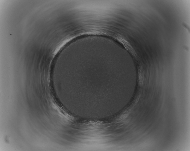 X0000099480484200805161138