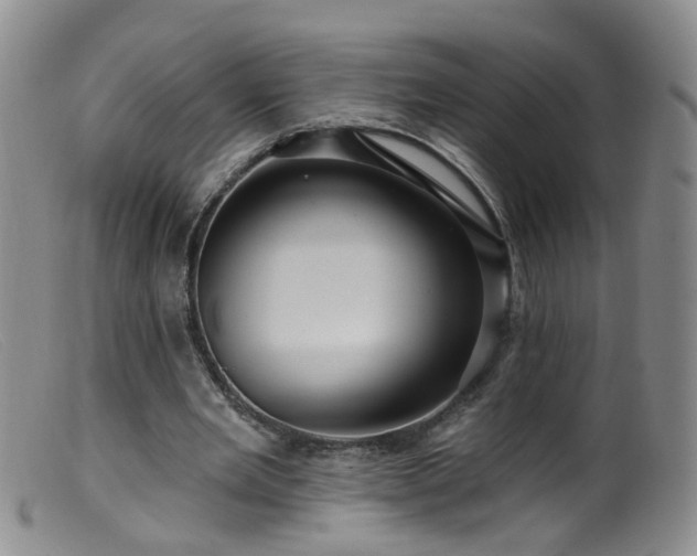 X0000099480485200805161138