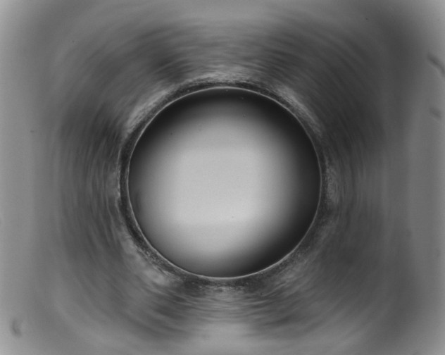 X0000099480486200805161138