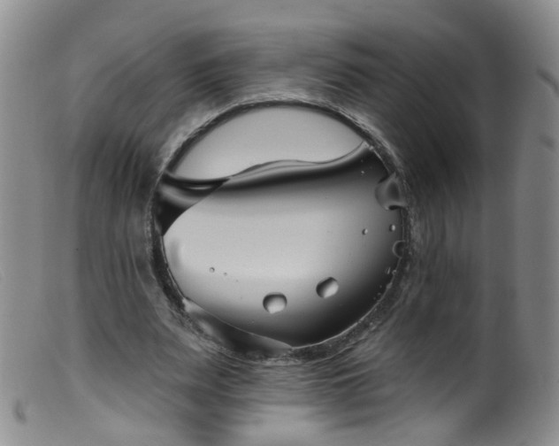 X0000099480487200805161138