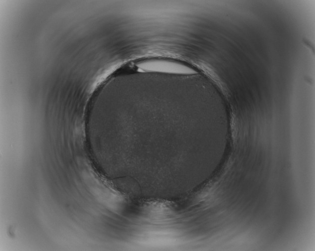 X0000099480488200805161138