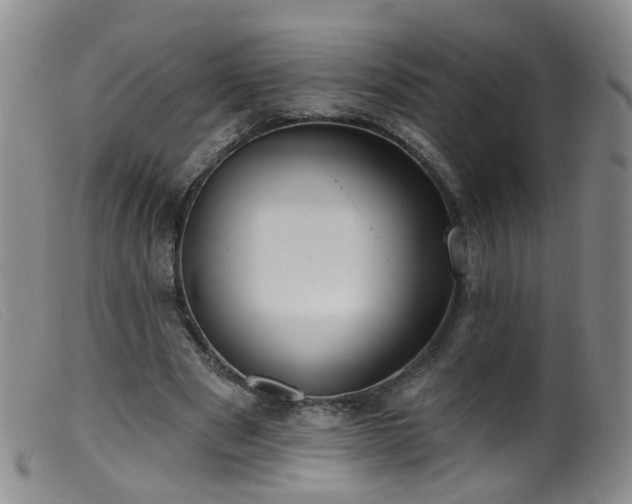 X0000099480489200805161138