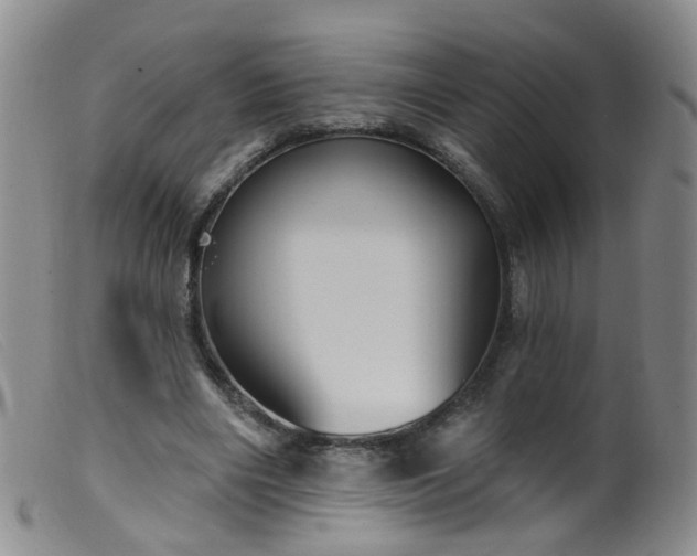 X0000099480490200805161138