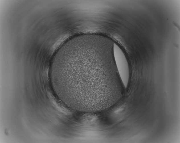 X0000099480491200805161138
