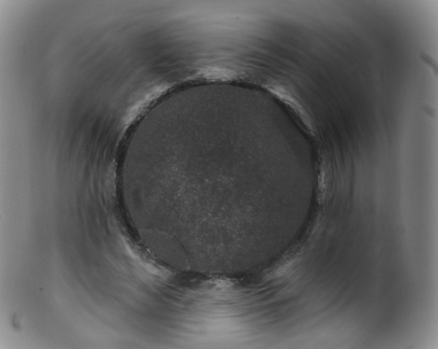 X0000099480492200805161138