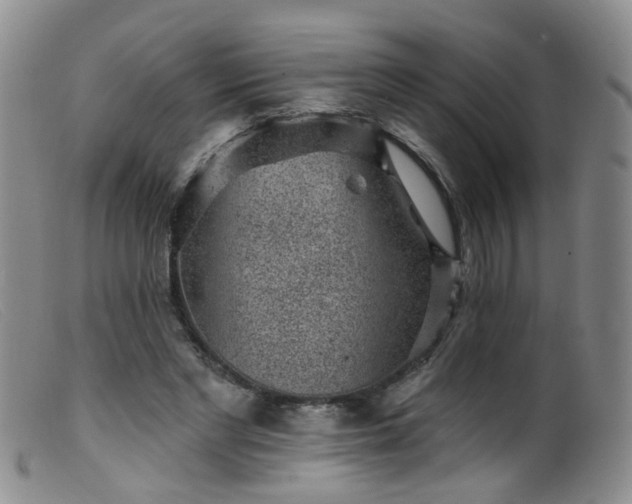 X0000099480493200805161138
