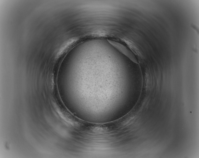 X0000099480494200805161138