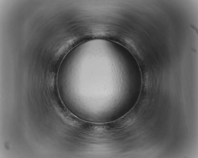 X0000099480495200805161138