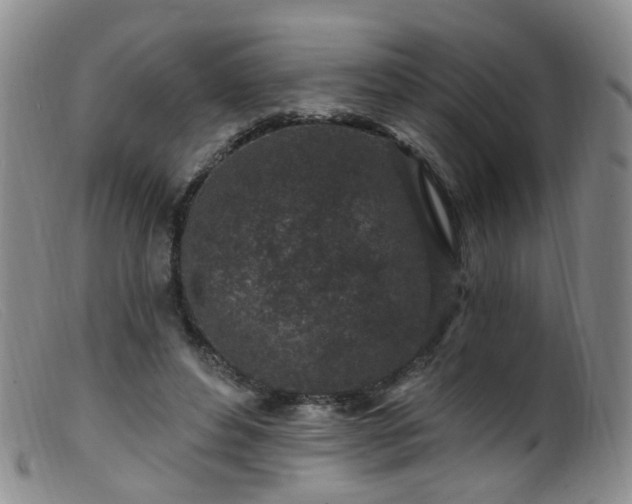 X0000099480496200805161138