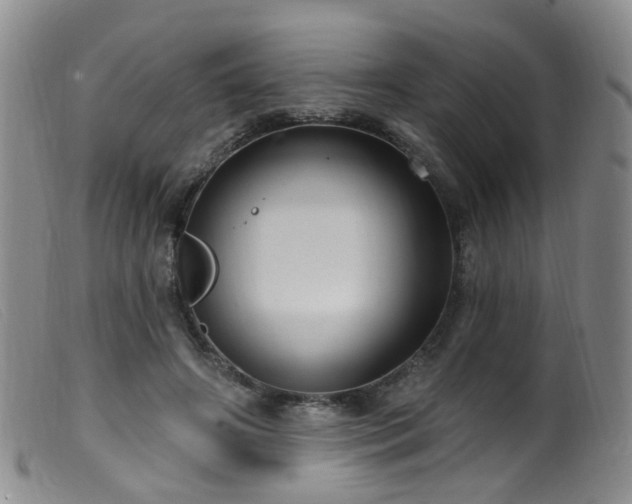 X0000099480498200805161138
