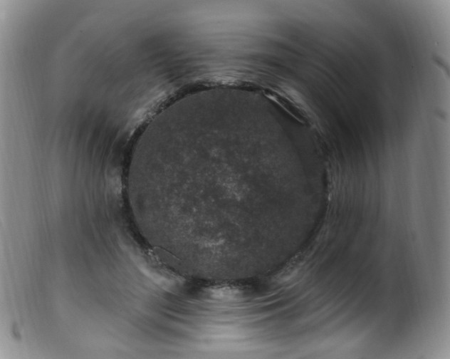 X0000099480500200805161138