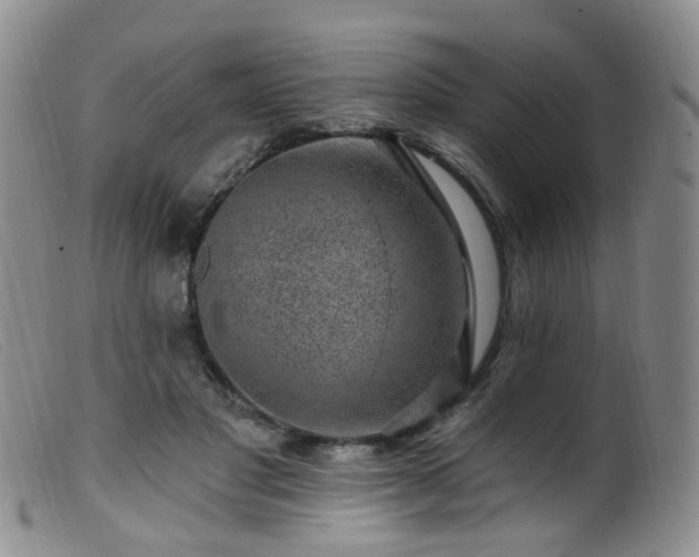 X0000099480501200805161138