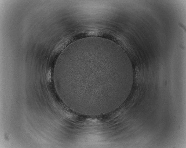 X0000099480502200805161138