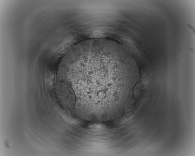 X0000099480503200805161138