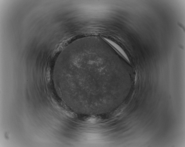X0000099480504200805161138