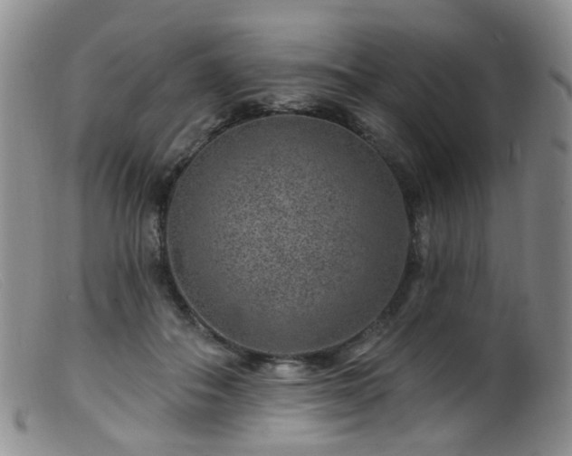 X0000099480506200805161138