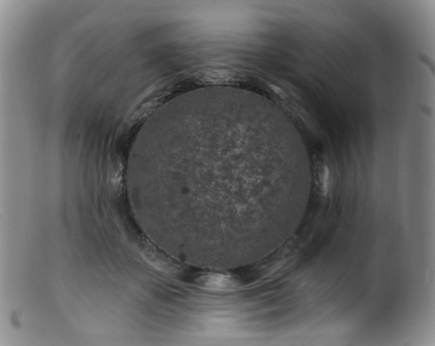 X0000099480507200805161138