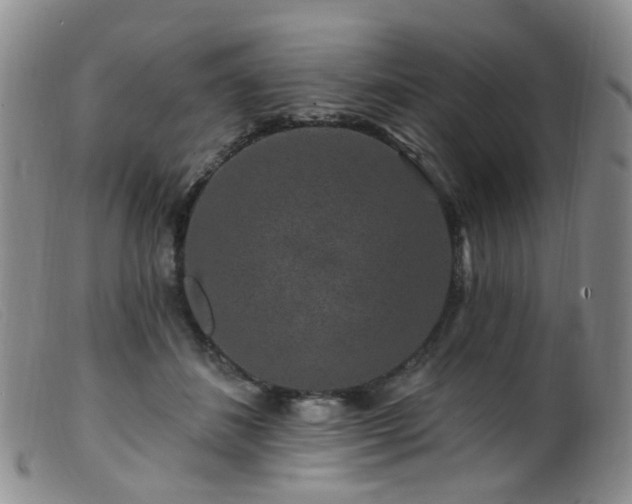 X0000099480508200805161138