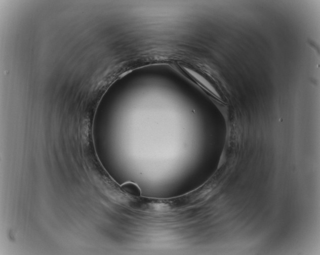 X0000099480509200805161138