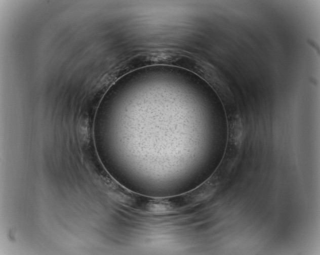 X0000099480510200805161138
