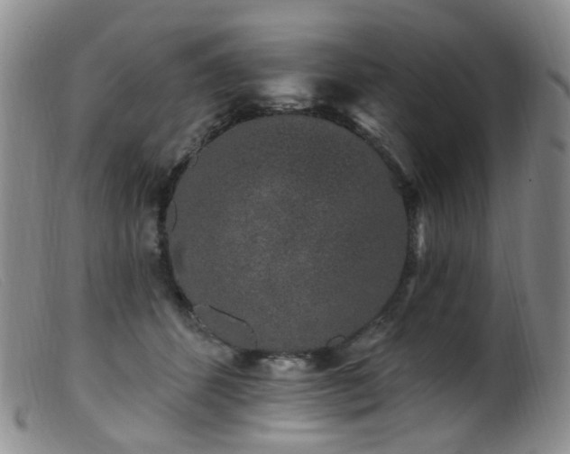 X0000099480512200805161138