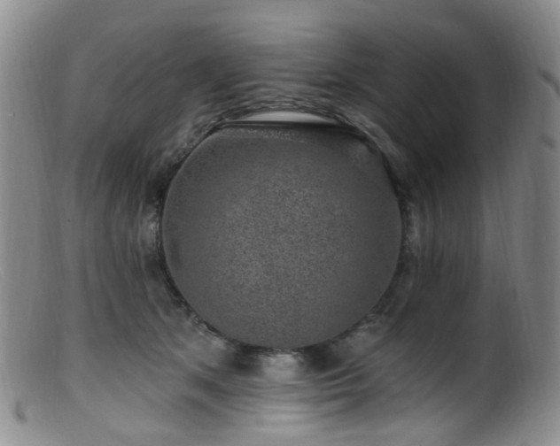 X0000099480513200805161138