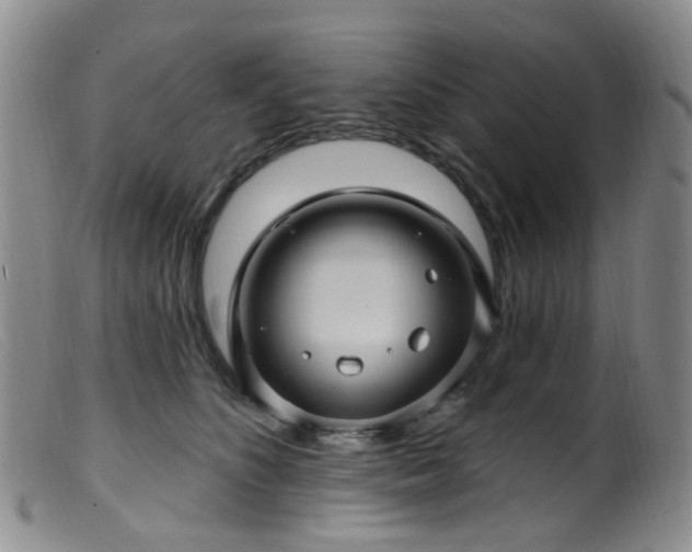 X0000099480516200805161138