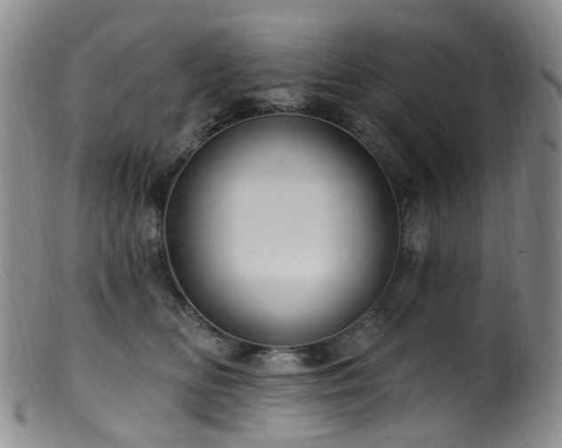 X0000099480518200805161138