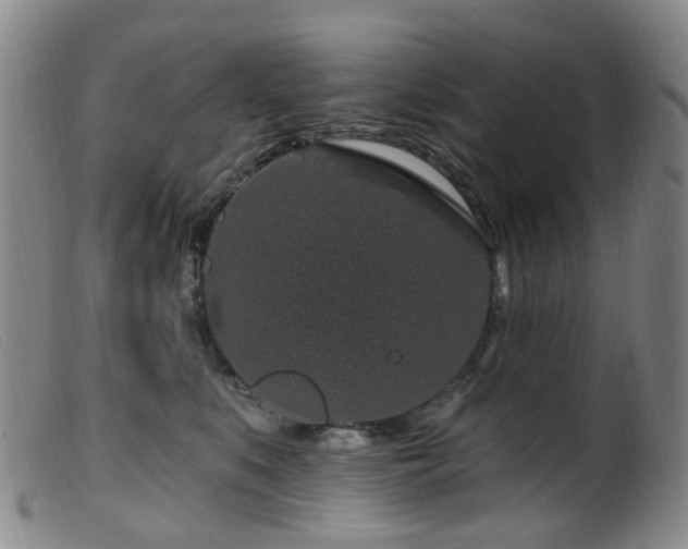 X0000099480519200805161138