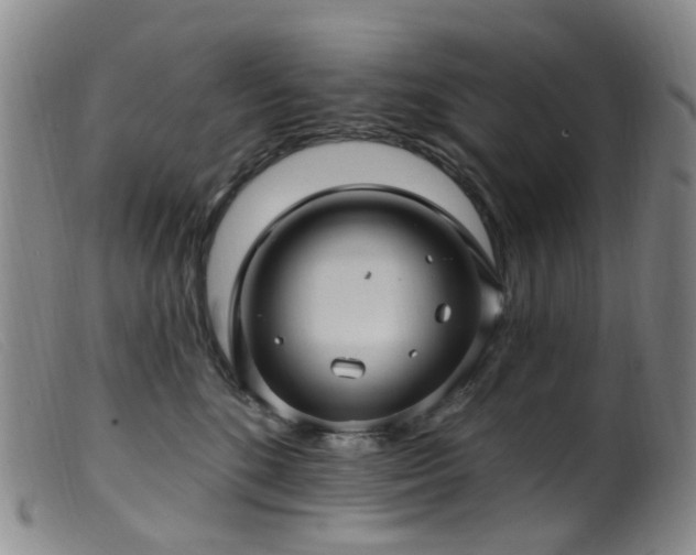 X0000099480520200805161138