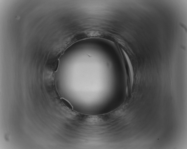 X0000099480521200805161138