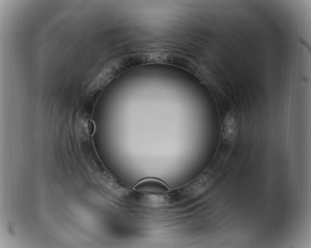 X0000099480522200805161138
