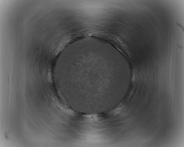 X0000099480524200805161138