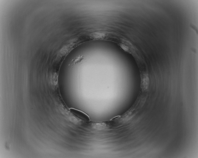 X0000099480525200805161138