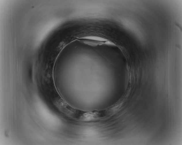 X0000099480526200805161138