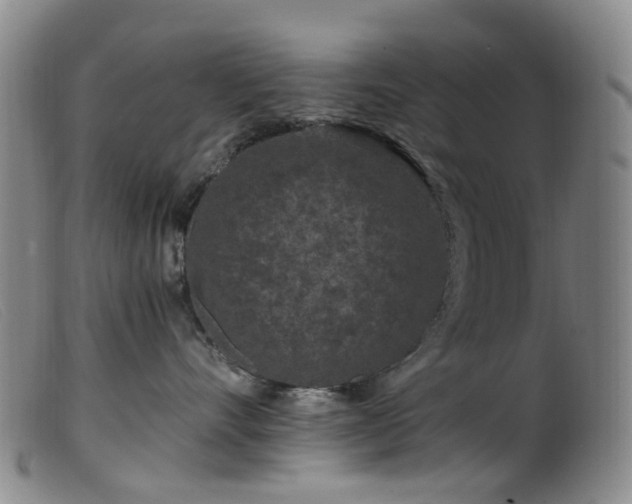 X0000099480528200805161138