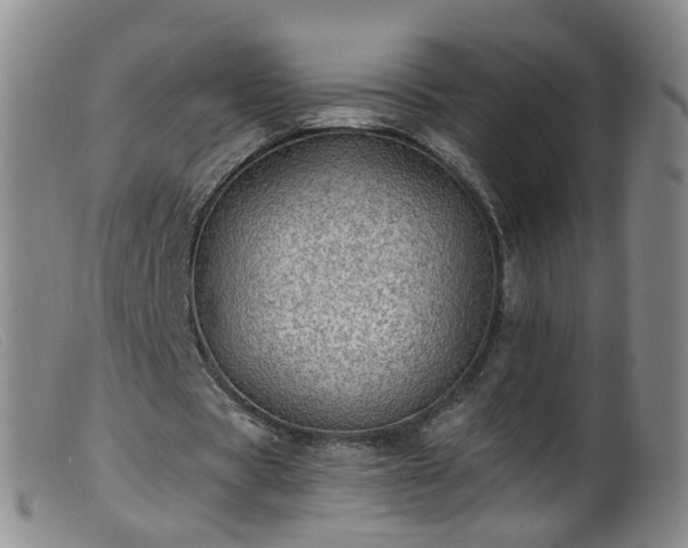 X0000099480529200805161137